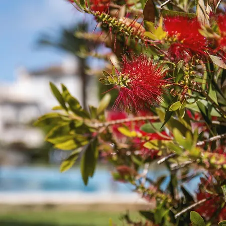 Appartement La Isla Penthouse Platja de Larenal